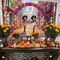 Day of The Dead Banner Dia DE Los Muertos Party Decoration(Colorful)